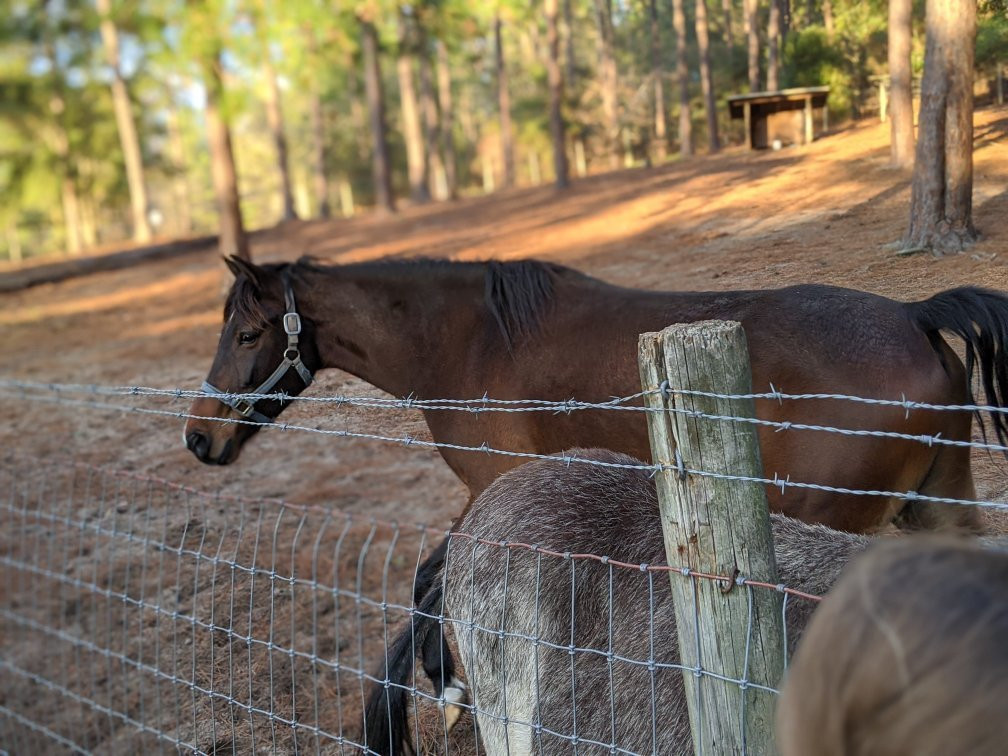 General Coffee State Park-Nicholls必去景点