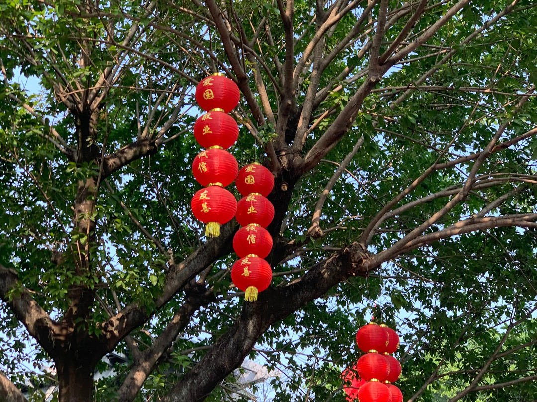 Guangzhou Private Local Tour Guide-Lorena-广州市必去景点