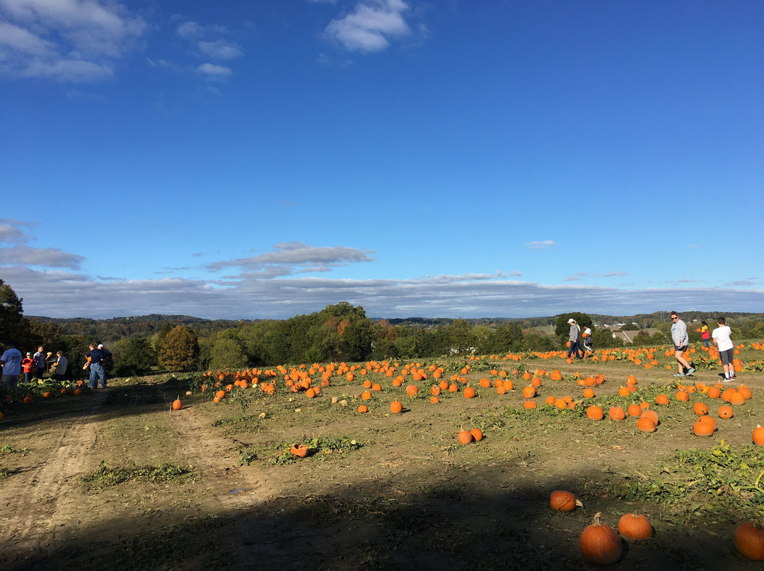 Kyker Farms Corn Maze-塞维尔维尔必去景点
