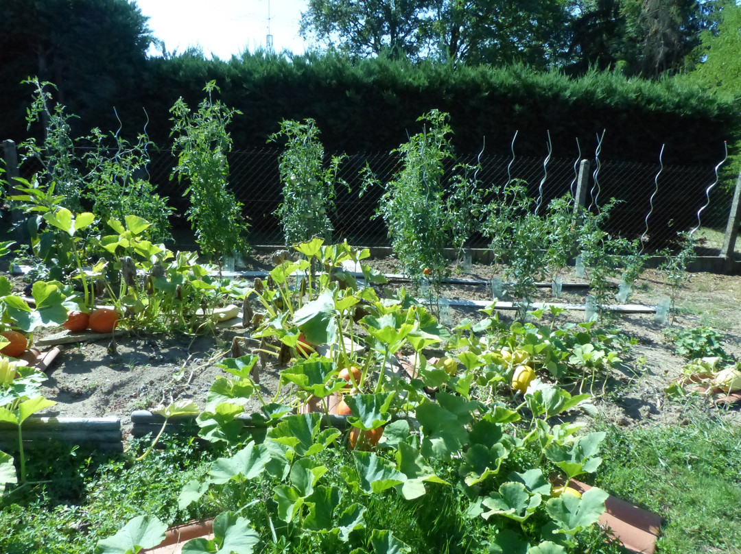 Au Clos De L'etang主图