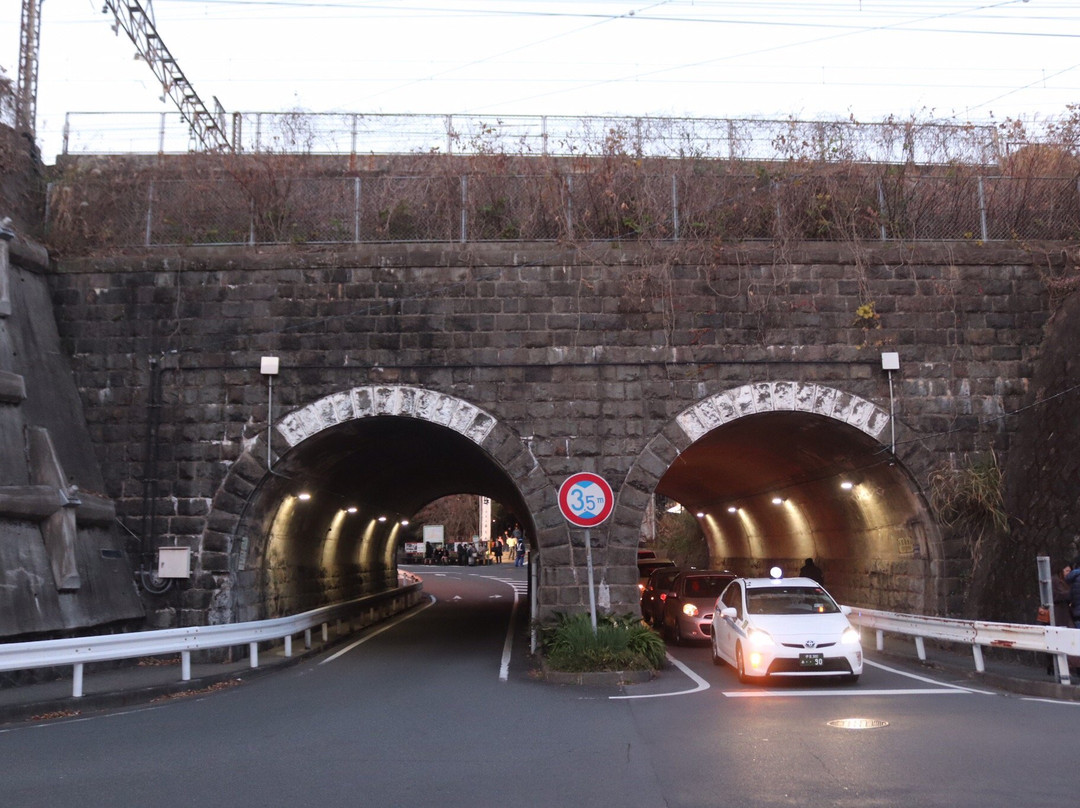 Kinomiya Ankyo-热海市必去景点