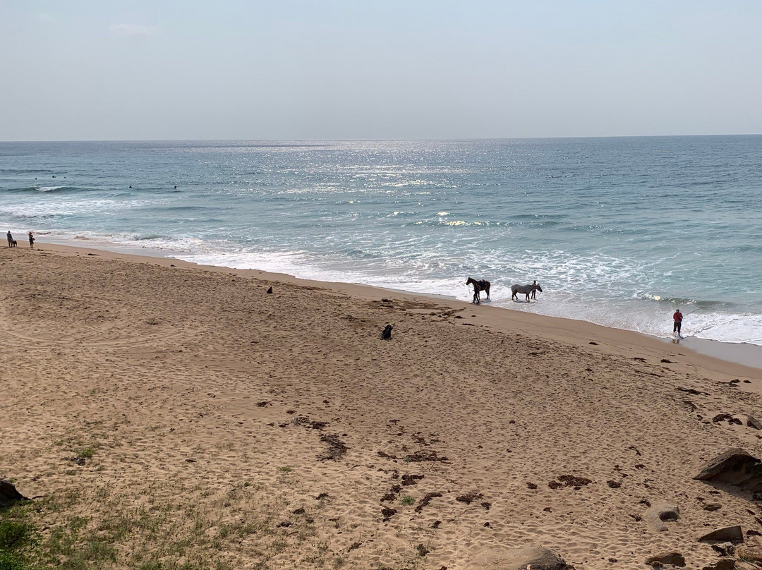 Stanwell Park Beach-Stanwell Park必去景点