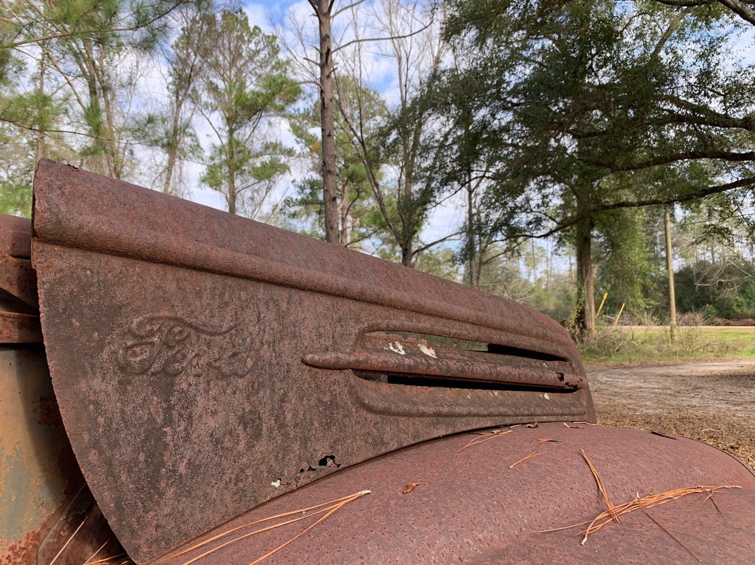 Roadside Rusted Ford Trucks-Crawfordville必去景点