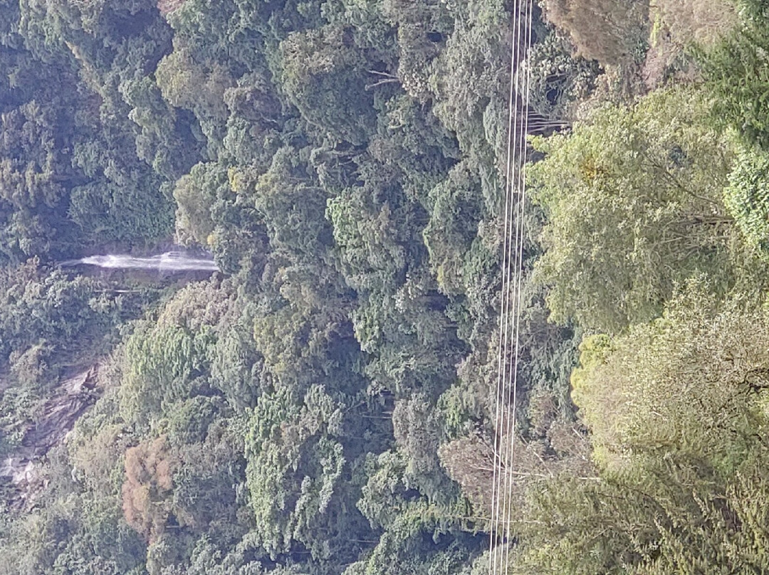 Pino Hermoso Reserva Natural