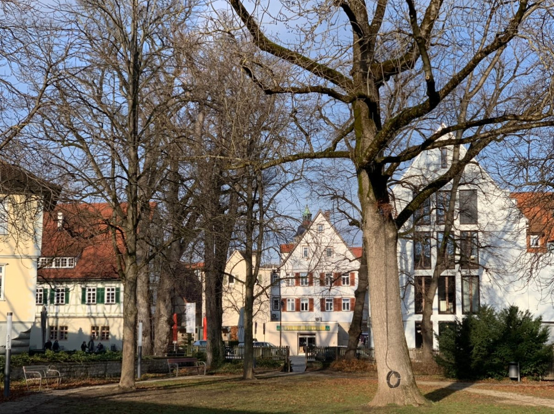 Kirchheim Palace景点图片