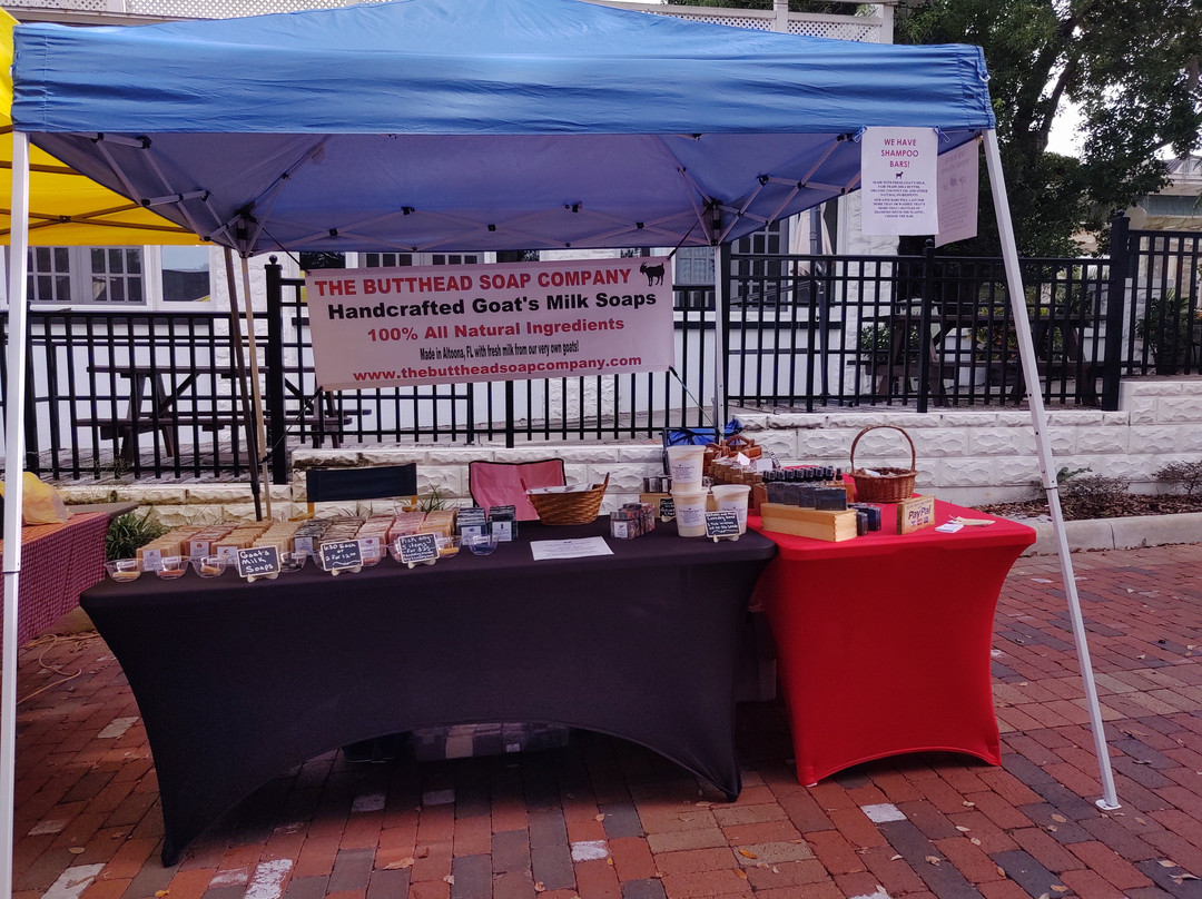 Mount Dora Village Market-Mount Dora必去景点