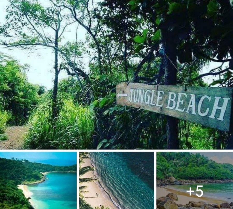 丛林海滩-乌纳瓦图纳必去景点