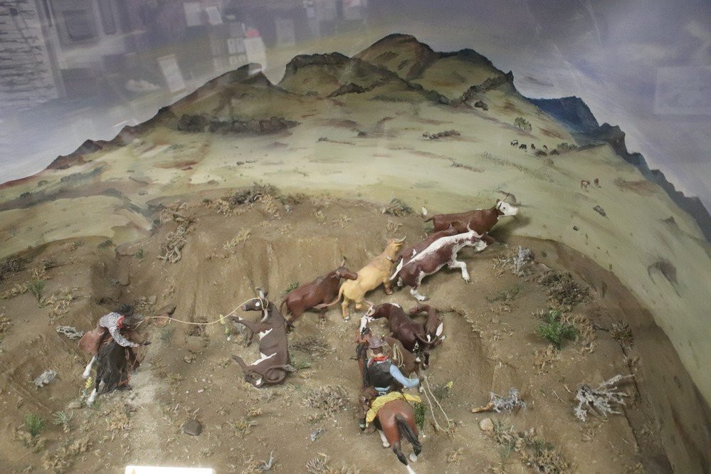 H. Earl Clack Memorial Museum-Havre必去景点