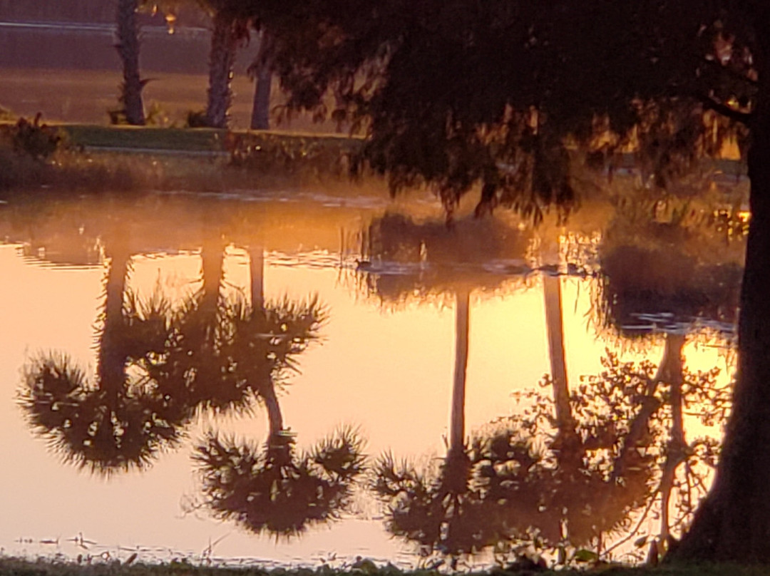 Venetian Gardens Park景点图片