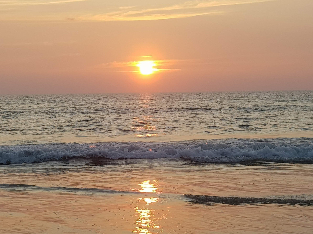 阿丽拉 迪瓦果阿 . 印度主图