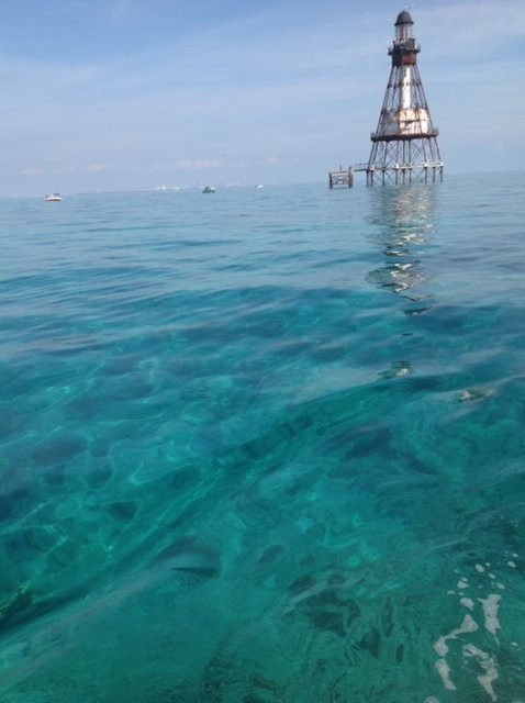 Carysfort Reef Lighthouse reef-拉哥岛必去景点