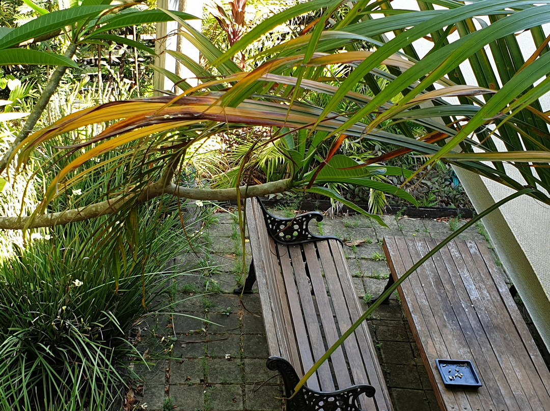 Grey Gum Lodge主图