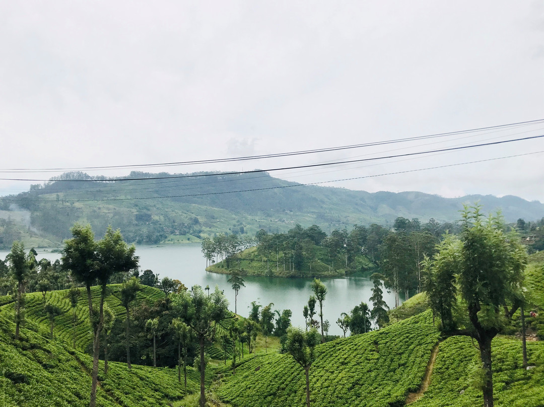 Castlereagh Reservoir-哈顿必去景点