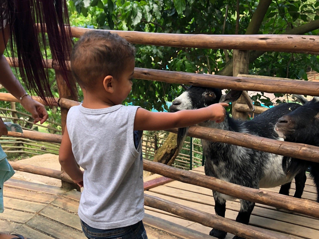 Arca do Noah - Educacao Ambiental-Guaratiba必去景点
