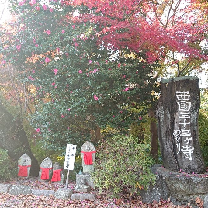 Matsuo-ji Temple景点图片