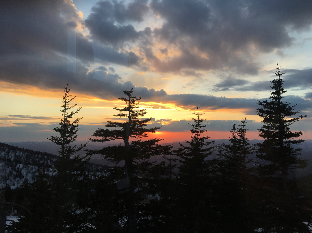 凌云阁酒店主图