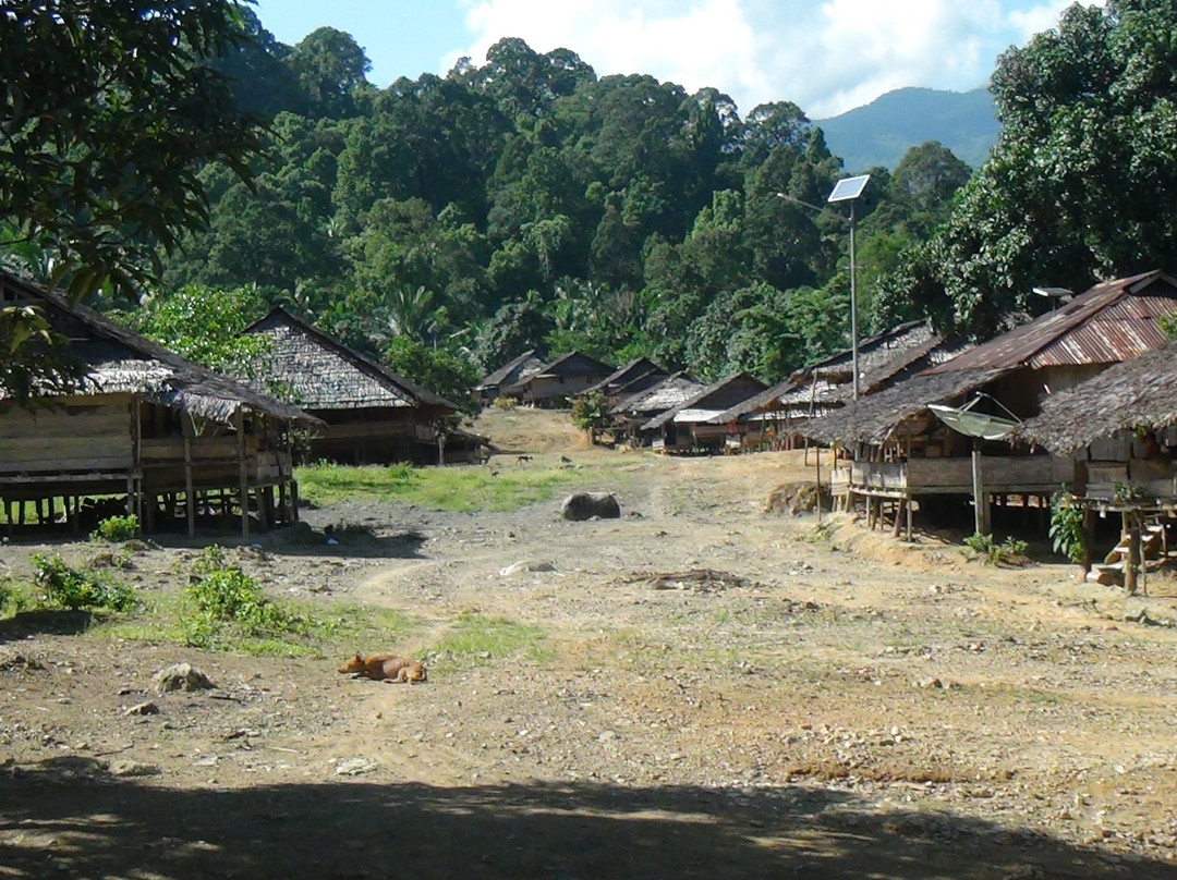 Manusela National Park-Seram Island必去景点