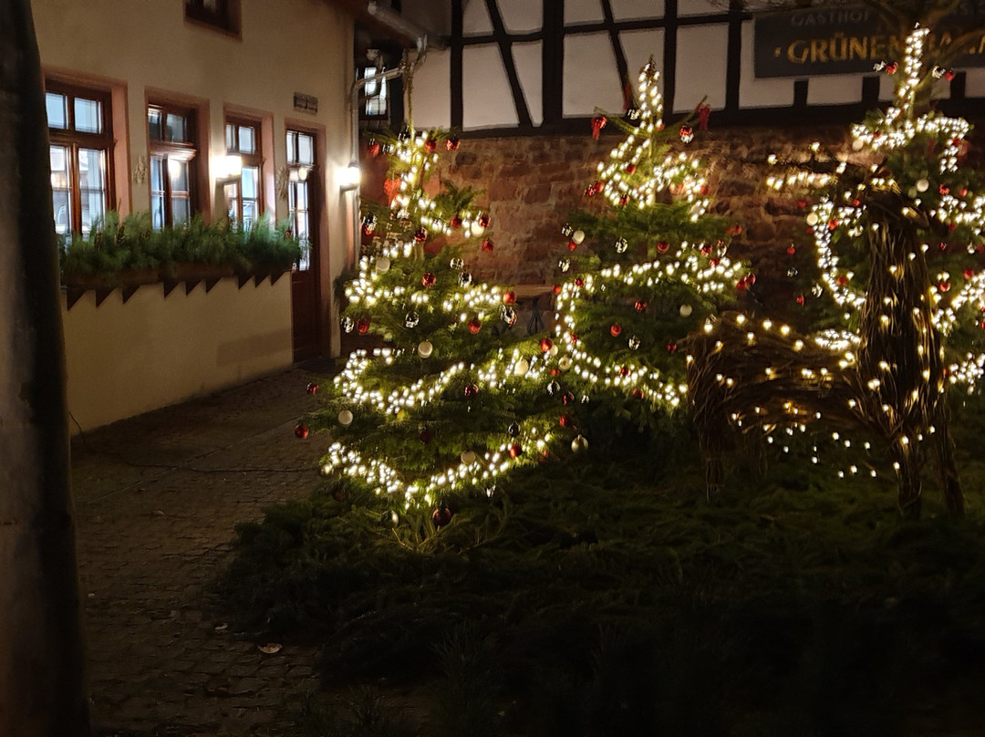 Zum Grunen Baum主图