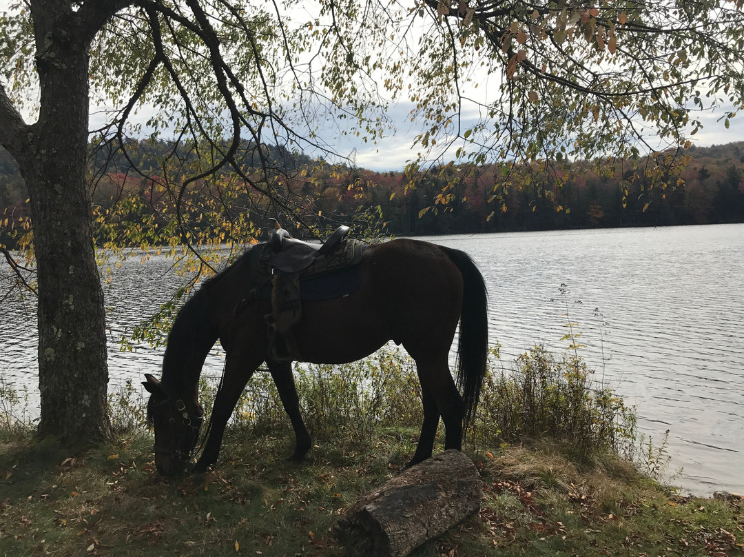 Adirondack Saddle Tours-Eagle Bay必去景点