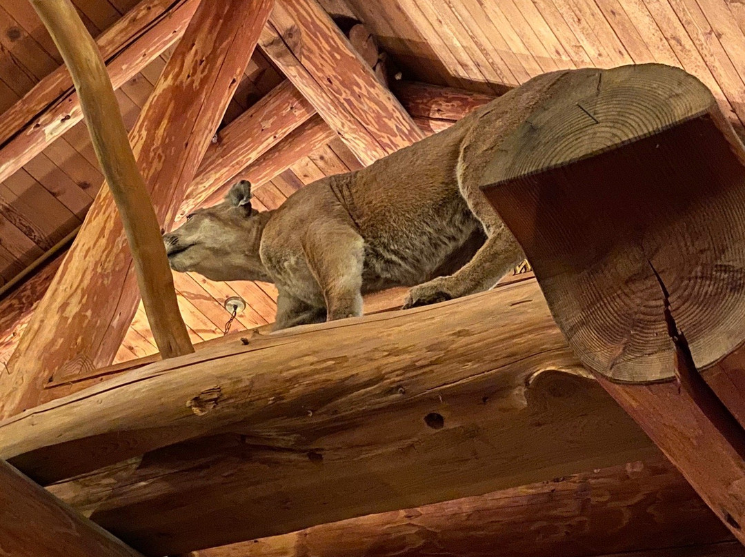Camp 18 Logging Museum-锡赛德必去景点