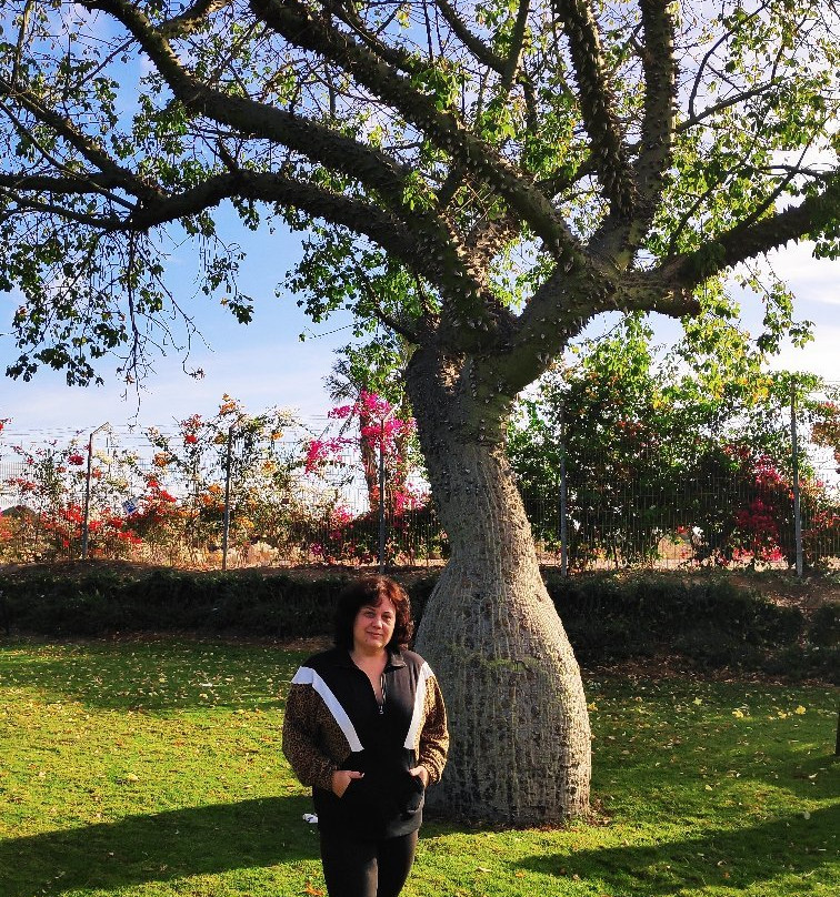 Hamei Ga'ash-Netanya必去景点