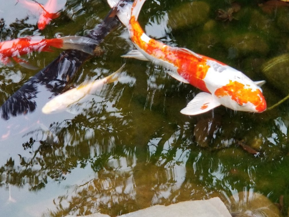 北巴尔的摩喜来登酒店主图