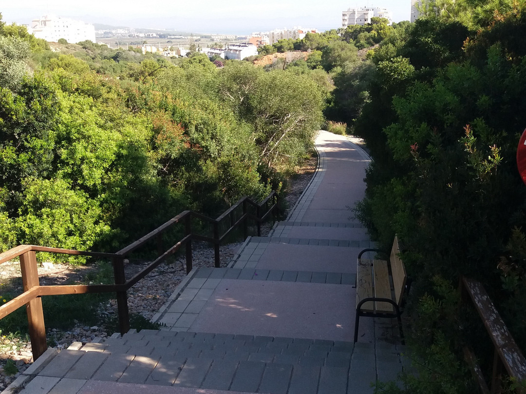 Parque Aromatico景点图片