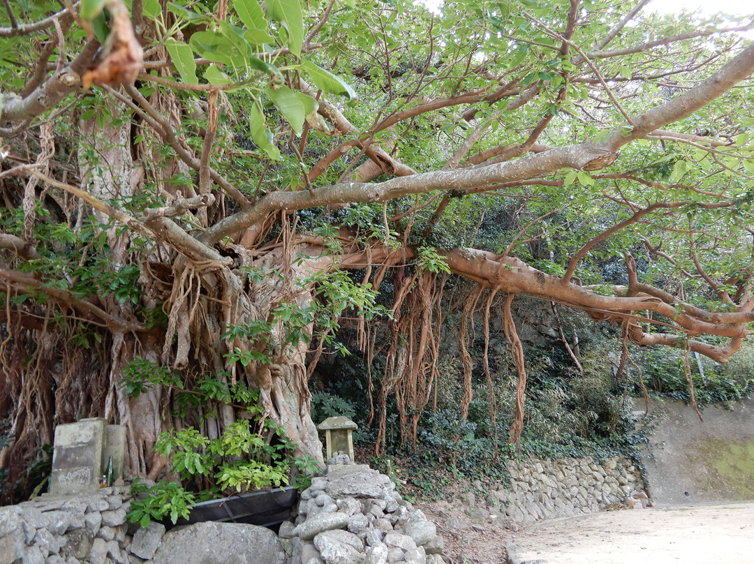 Kashinoura Akoju-五岛市必去景点