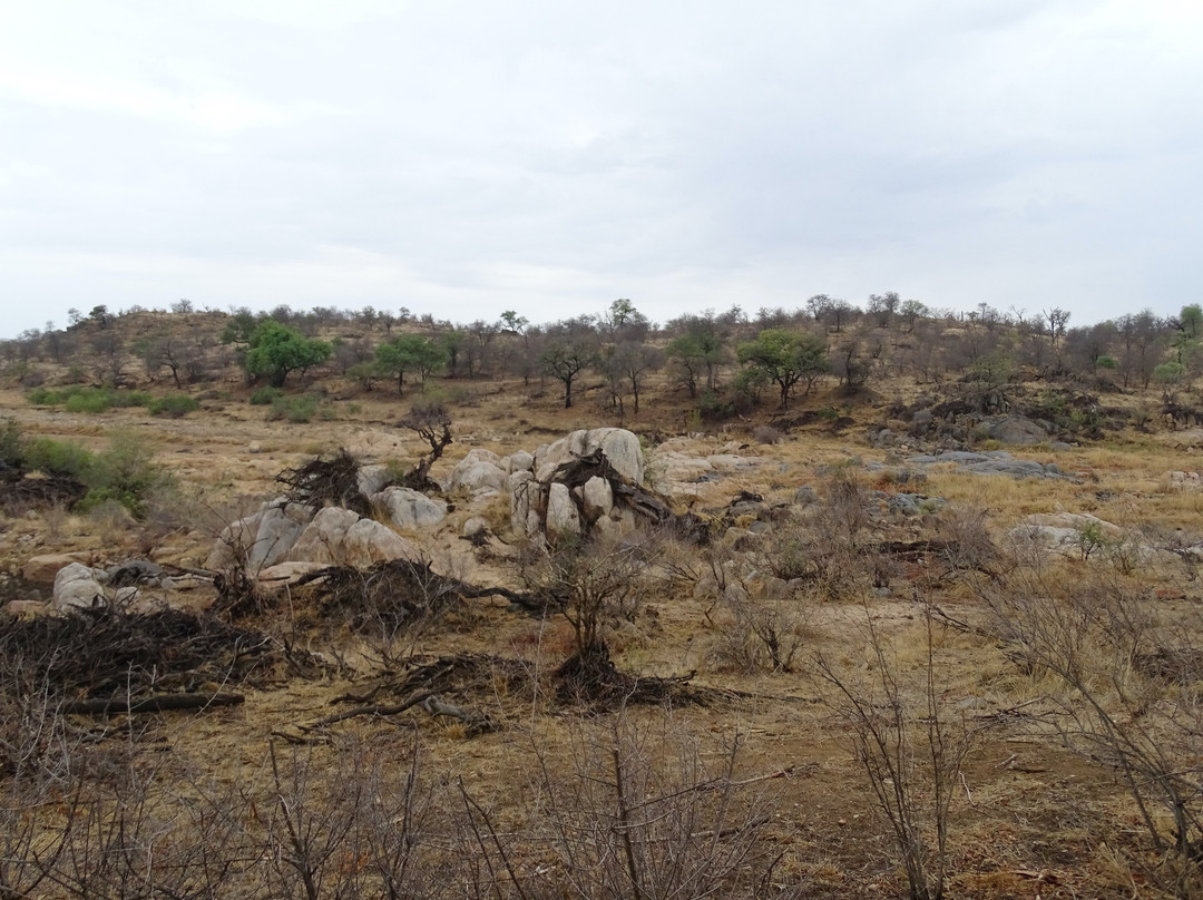 Ivory Wilderness River Rock Lodge主图