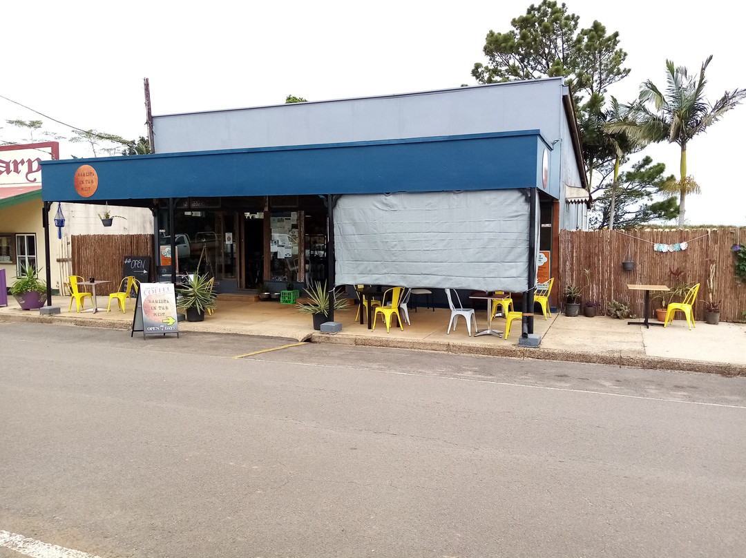 Innot Hot Springs餐馆和美食-Barista In The Mist