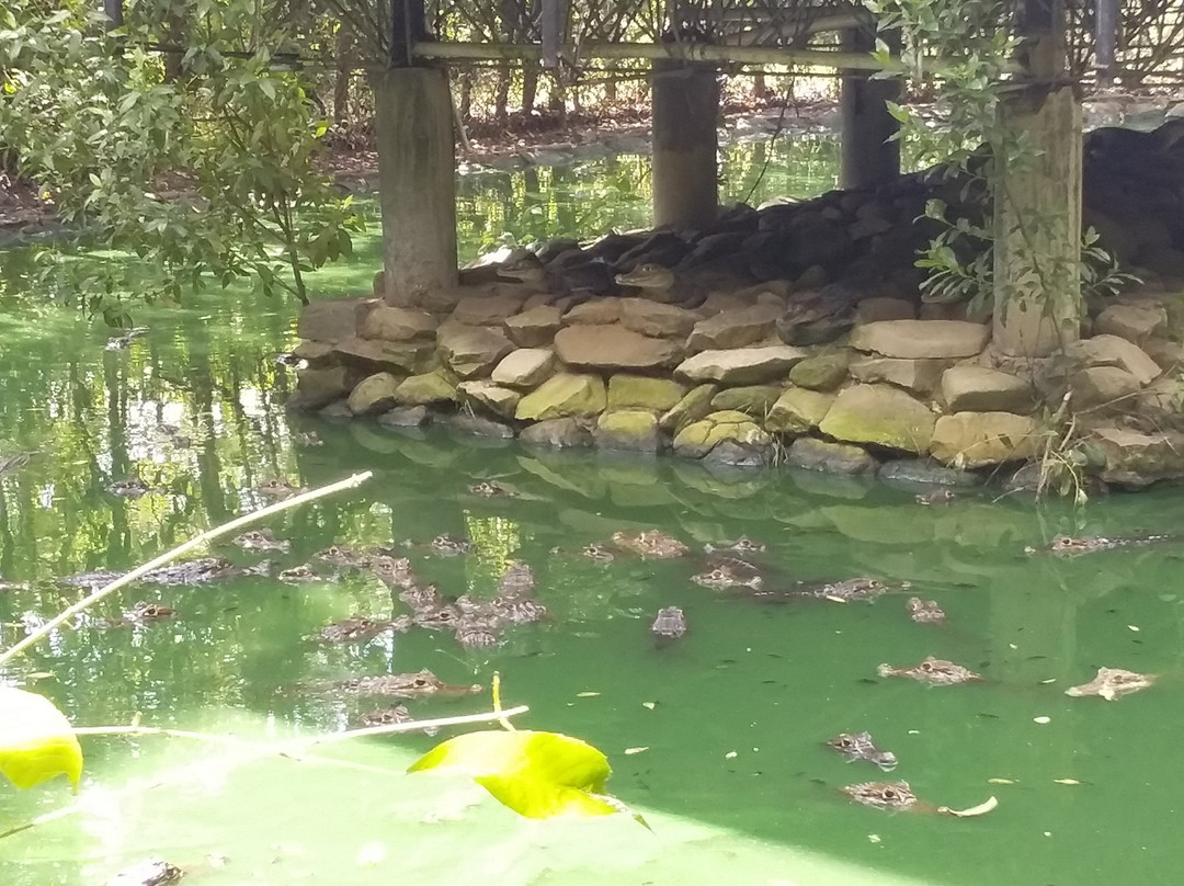 Vivarium del Caribe景点图片