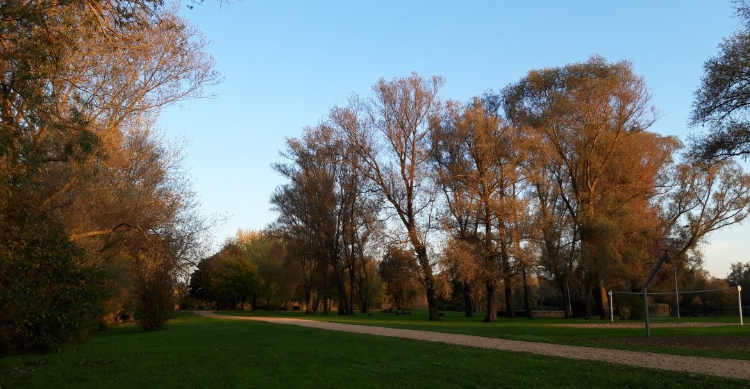 Parc de Brieux景点图片