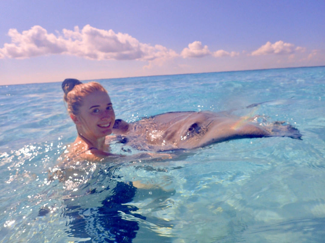 Aqua Watersports, Grand Cayman景点图片