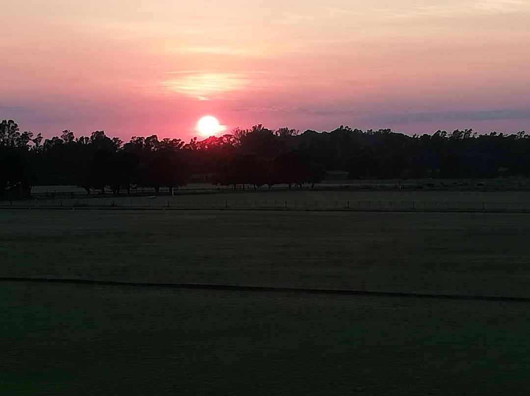 Wyndham Garden Lujan主图