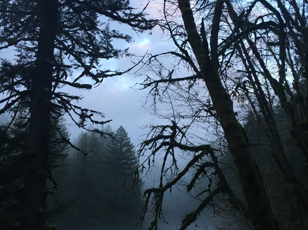 Moulton Falls Regional Park景点图片