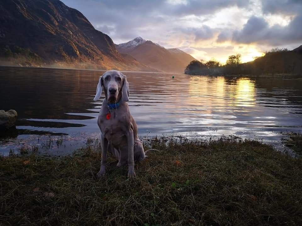 Loch Shiel-Glenfinnan必去景点