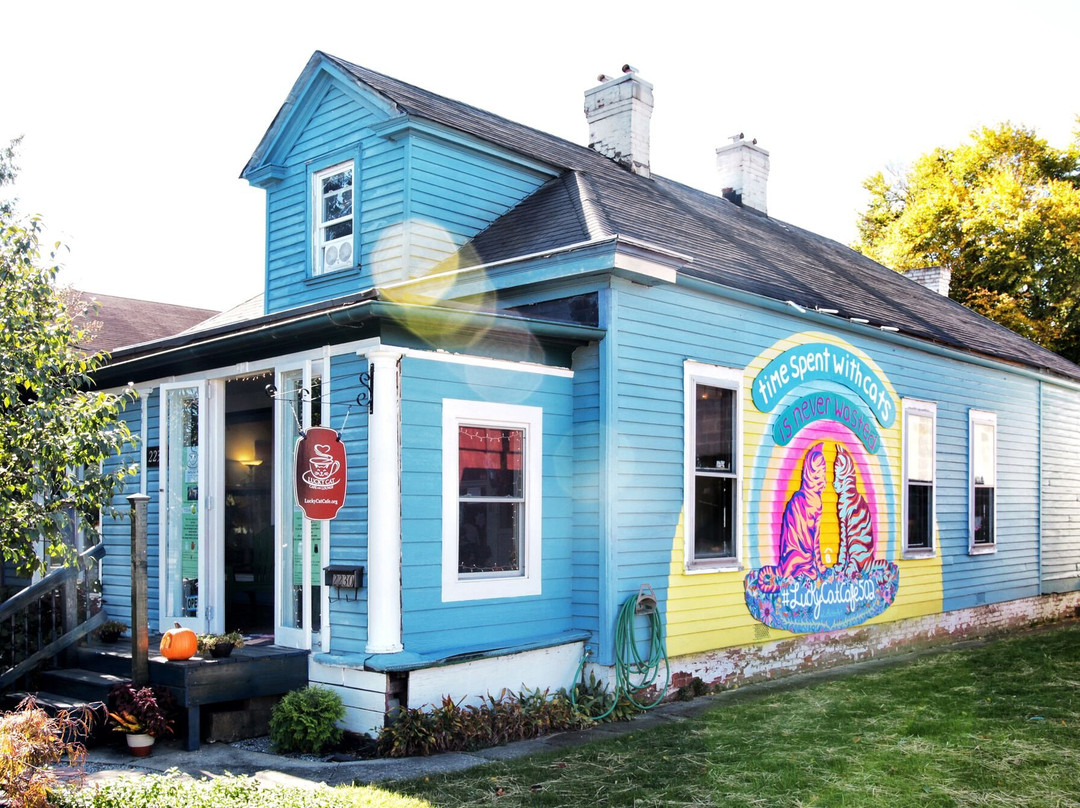 Lucky Cat Cafe  & Lounge-路易斯维尔必去景点