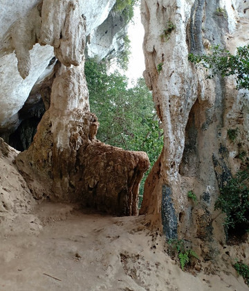 Gunung Senyum Recreational Forest-Temerloh必去景点