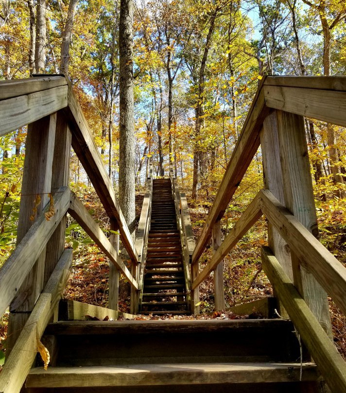 2024 8 Clifty Falls State Park Clifty - 02Y2k12000aejzglvA705 R 1080 808 Q90 