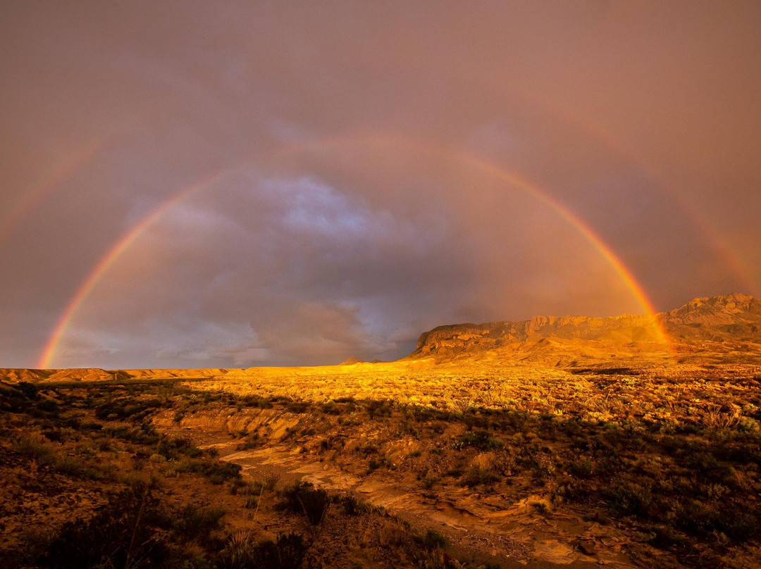 Big Bend Birding & Photo Tours-Terlingua必去景点