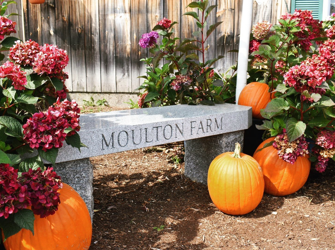 Moulton Farm-梅勒迪斯必去景点