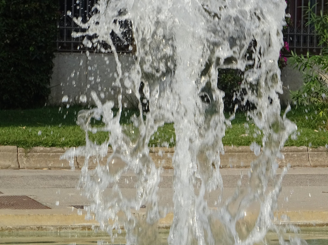 Palacio Real de Pedralbes景点图片