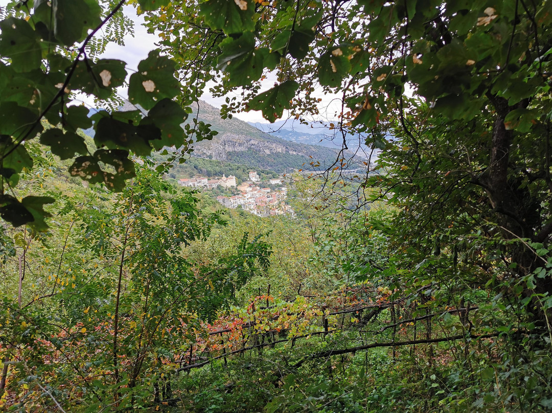 B&B Rosaria Amalfi Coast主图