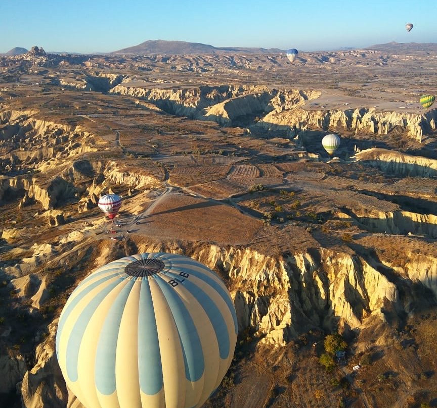 Butterfly Balloons景点图片