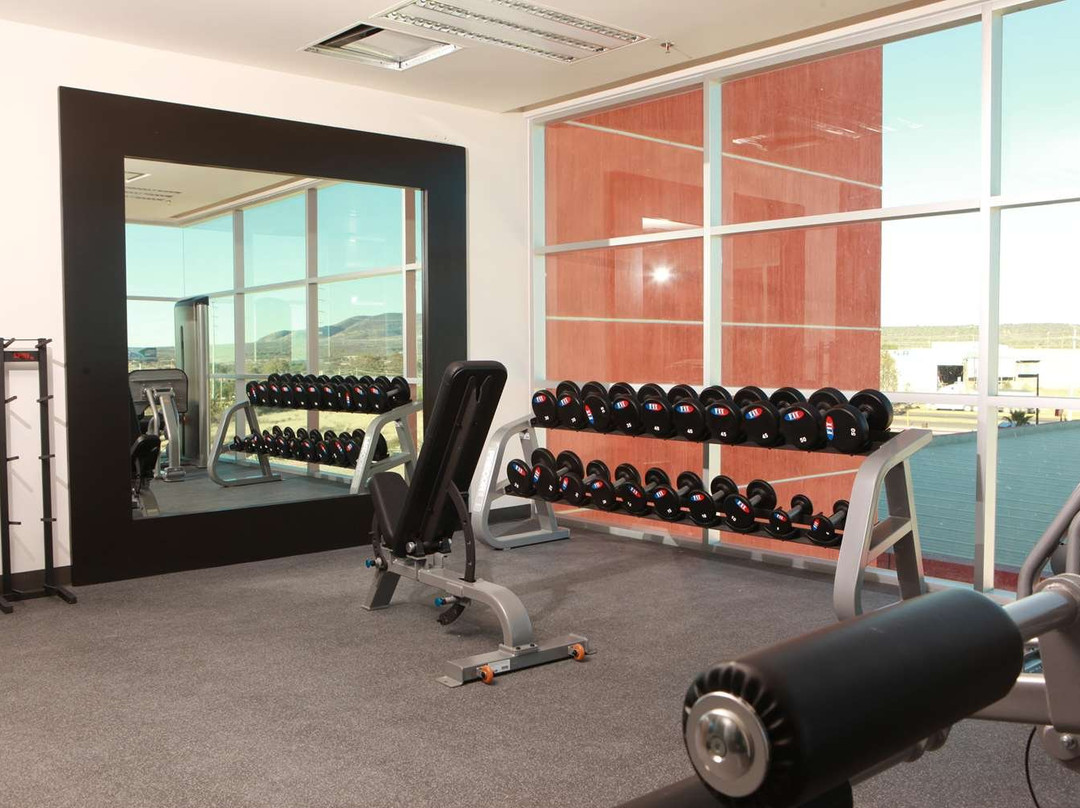 Hampton Ste By Hilton Aguascalientes Mex主图