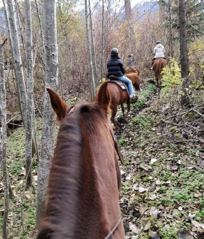 Adventure on Horseback景点图片