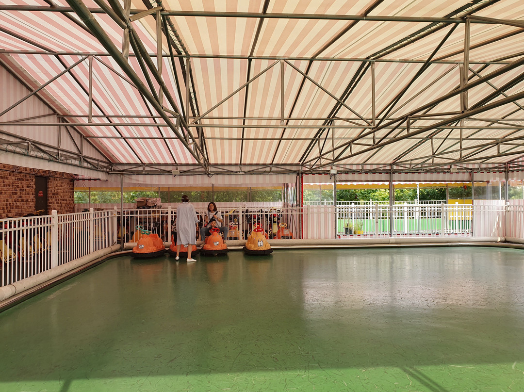 Chungju Lava Land-忠州市必去景点