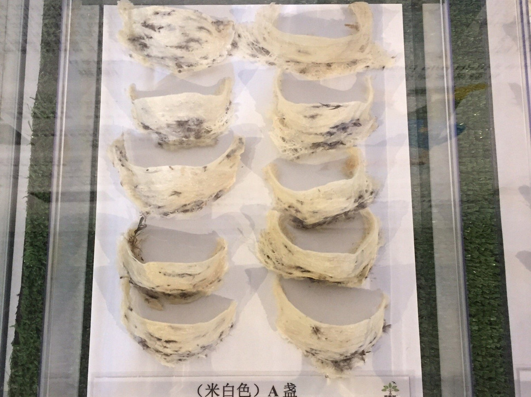 Kuan Wellness Ecopark-丹绒士拔必去景点