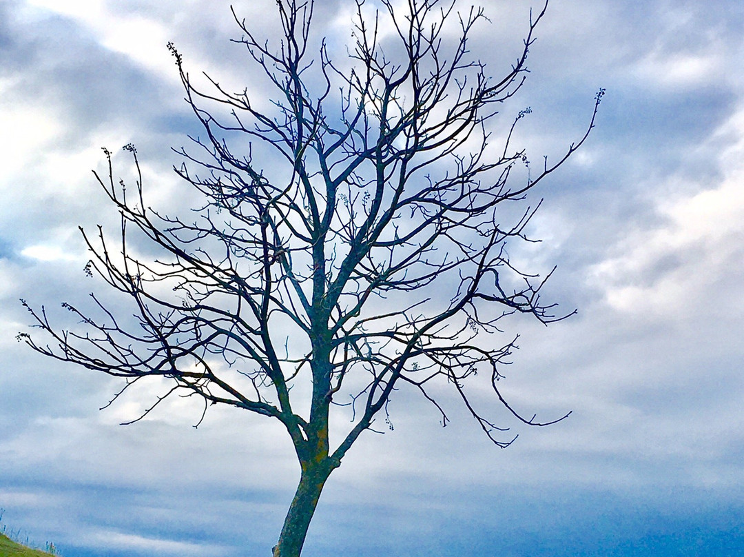 Parc de la Cité-隆格伊必去景点