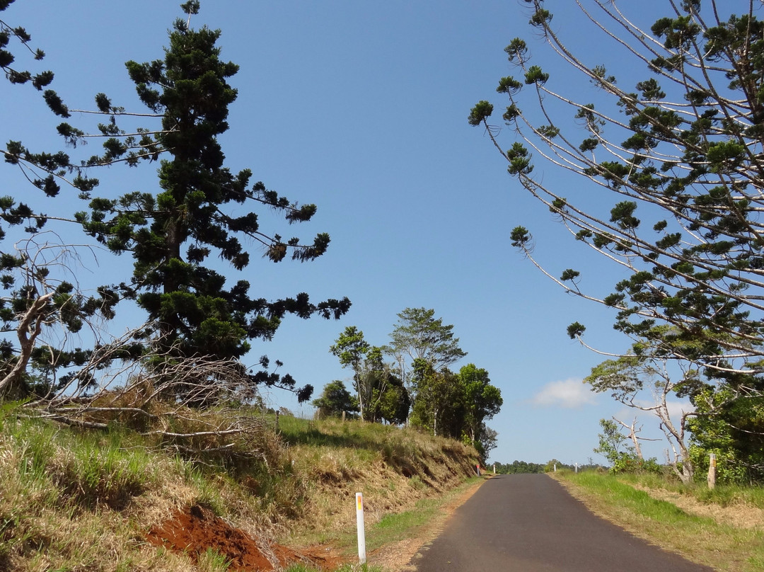 Atherton Tablelands景点图片